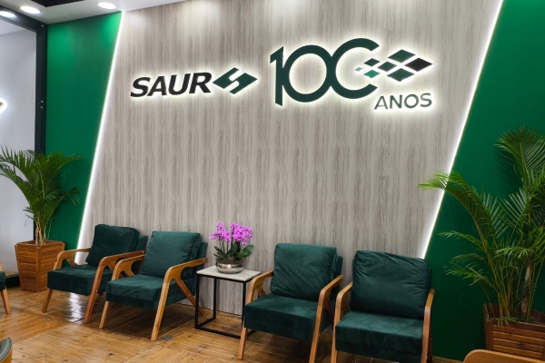 saur-lounge-17C9411C1-4420-DA01-743F-67DAA8E72247.jpeg