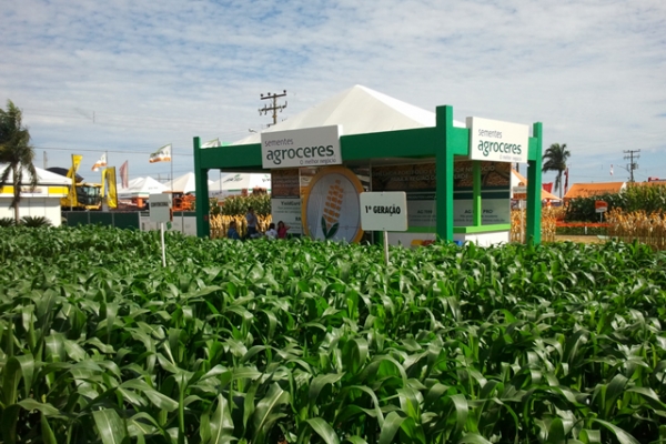 mwo-stands-cenografia-sementes-agroceres5200FE5DD-49B2-909F-D68D-B0B9BE0CBE33.jpg